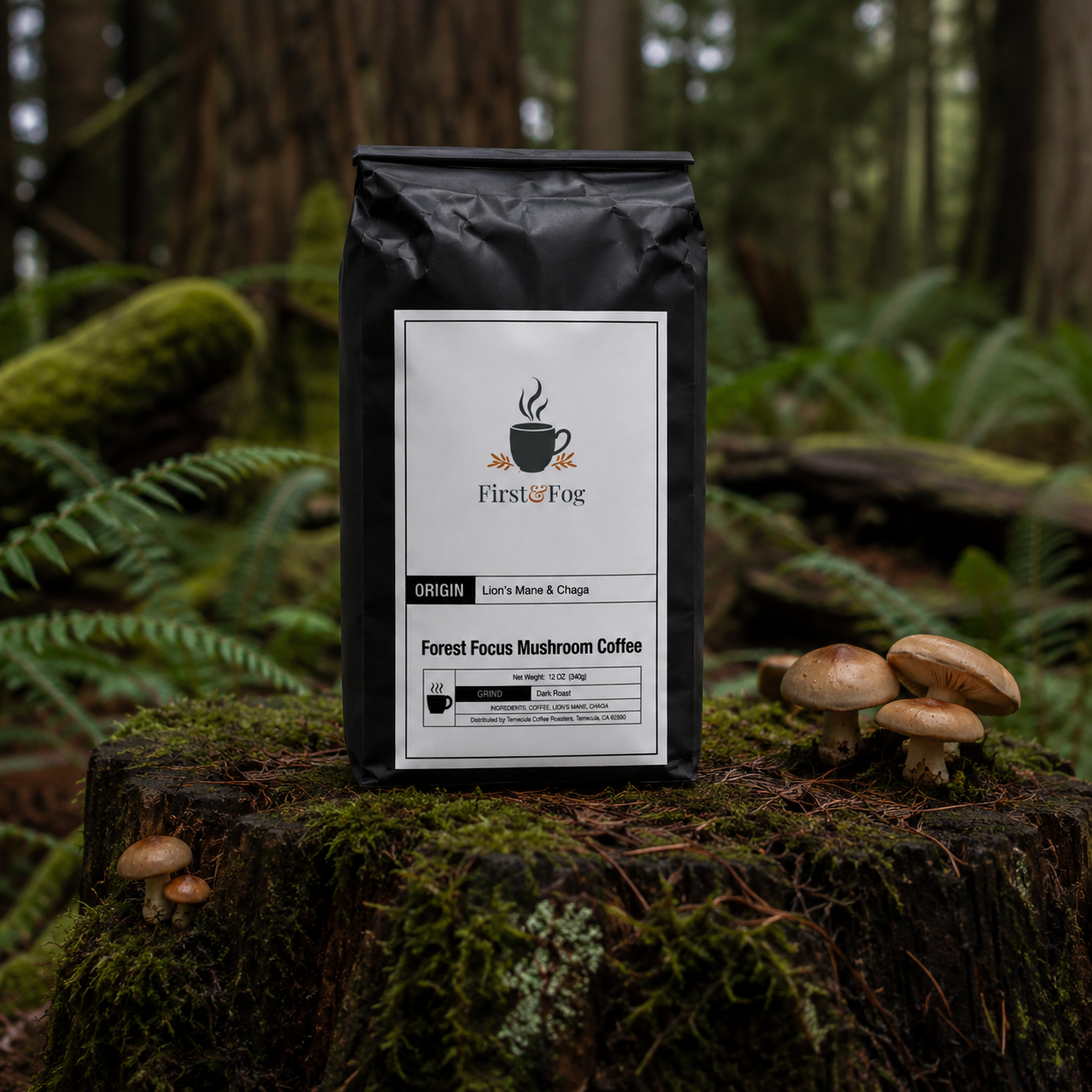 Forest Focus Mushroom Coffee — Dark Roast